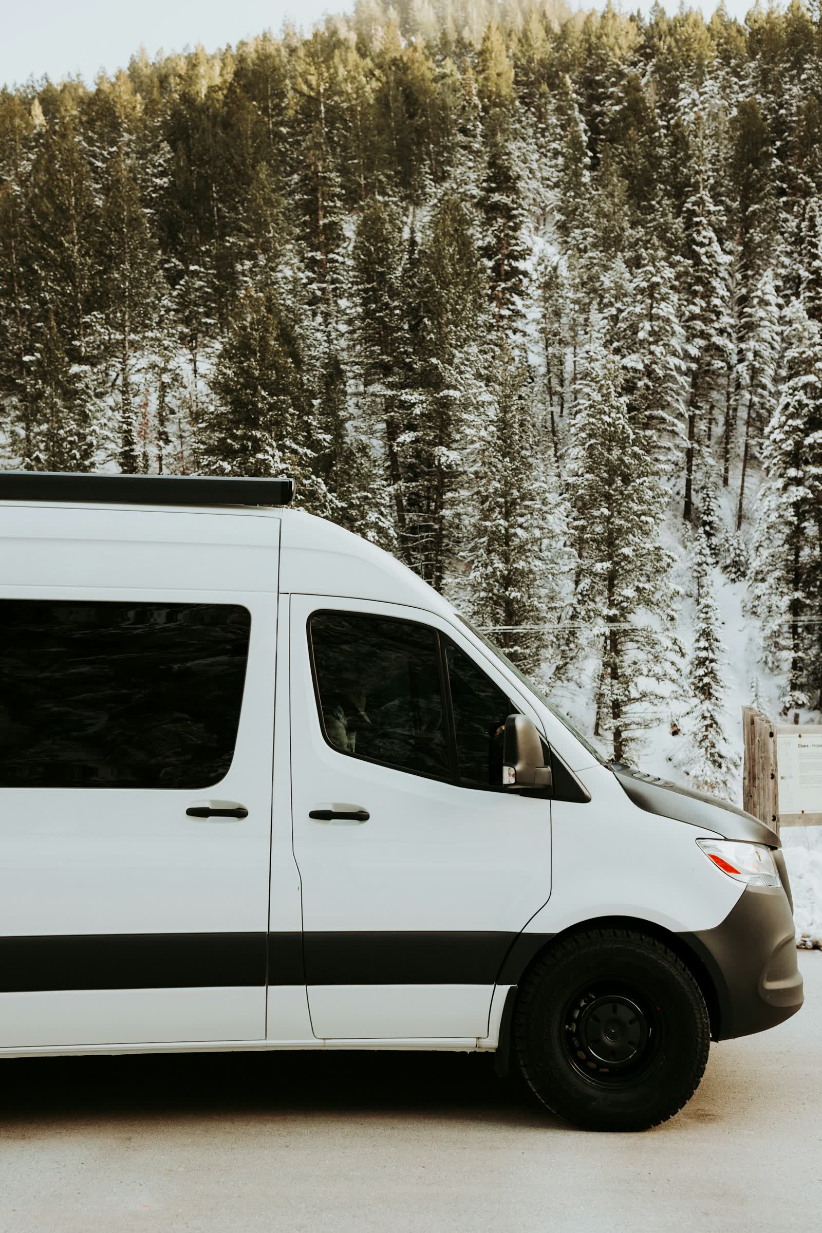 White van parked in front of forest, mountains in background